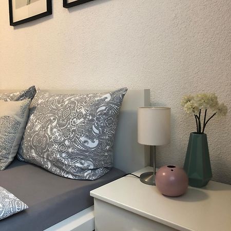 No2 Top Apartment4You - 3 Zimmer, 1-6 Pers, Saarbruecken - Jaegersfreude Saarbrücken Eksteriør bilde